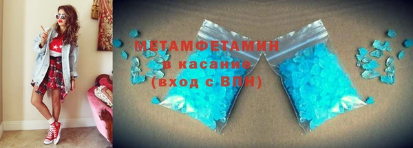 прущие грибы Верея