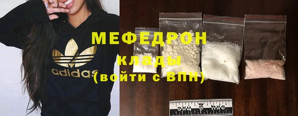 прущие грибы Верея