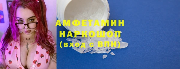 прущие грибы Верея