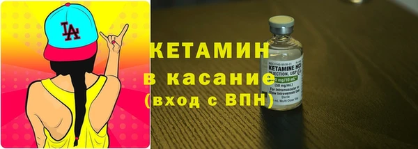 прущие грибы Верея