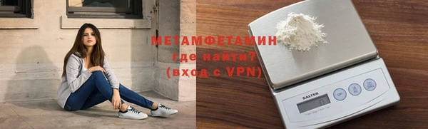 прущие грибы Верея