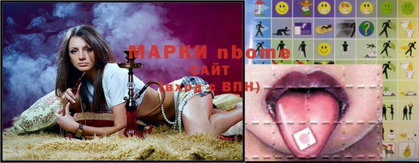 прущие грибы Верея