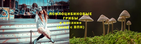 прущие грибы Верея