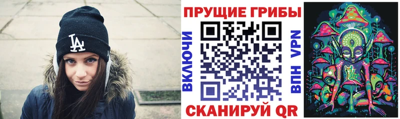 маркетплейс Telegram где купить Славянск-на-Кубани Псилоцибиновые грибы GOLDEN TEACHER