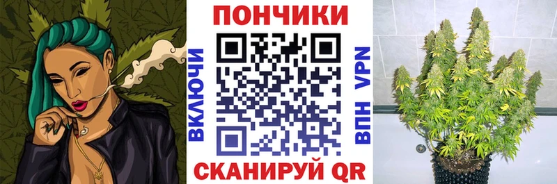 МАРИХУАНА план  сайты даркнета какой сайт  Славянск-на-Кубани  цена наркотик 